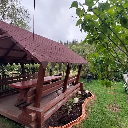 петриківка 3*