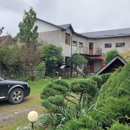 Guest house петриківка