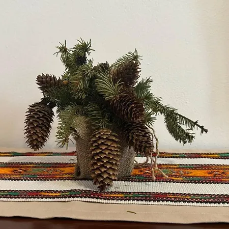 Guest house петриківка