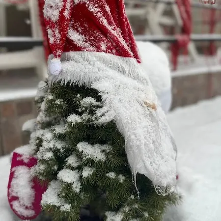 петриківка 3*