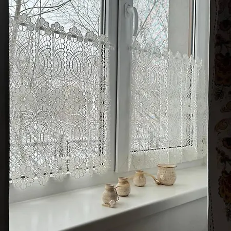 Guest house петриківка Slavske