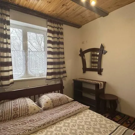 Pensjonat петриківка з червня басейн з підігрівом 10 на 5 метрів 3*