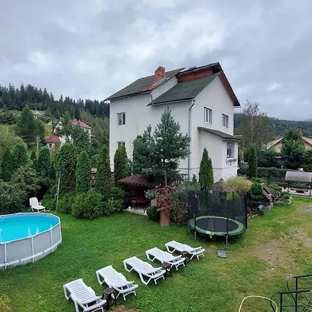 петриківка 3*