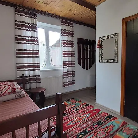 петриківка Guest house Slavske