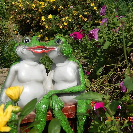 Guest house петриківка 3*