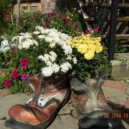 петриківка