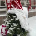 петриківка з червня басейн з підігрівом 10 на 5 метрів 3*