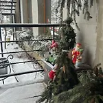 게스트하우스 петриківка з червня басейн з підігрівом 10 на 5 метрів 3*