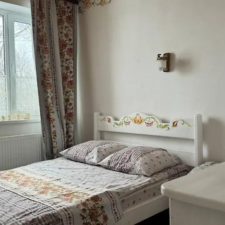 بيت ضيافة петриківка з червня басейн з підігрівом 10 на 5 метрів 3*