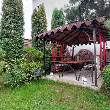 Guest house петриківка Slavske