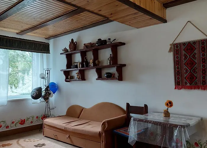 Guest house петриківка Slavske