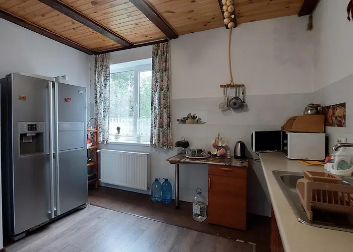 петриківка