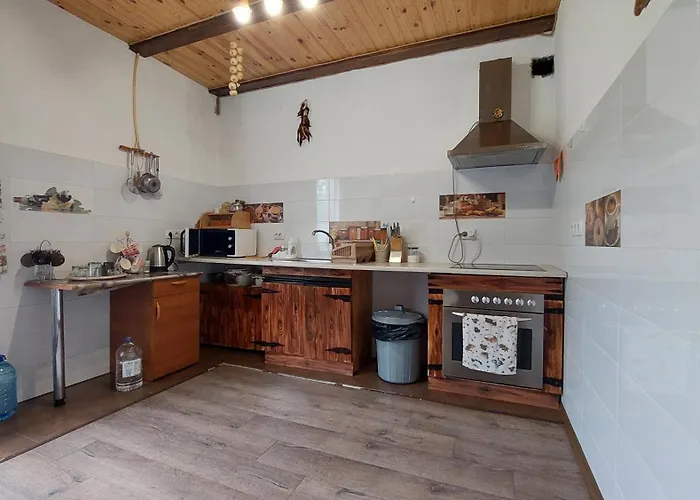 Guest house петриківка Slavske