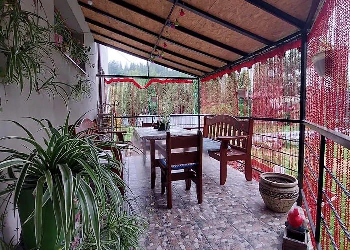 петриківка Guest house
